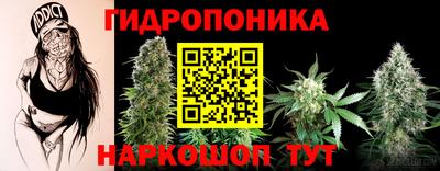 2c-b Славянск-на-Кубани