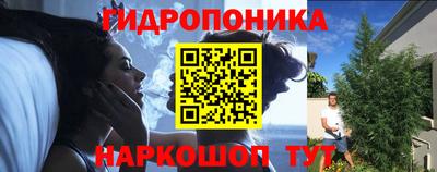 2c-b Славянск-на-Кубани