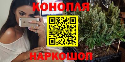 a pvp Сланцы