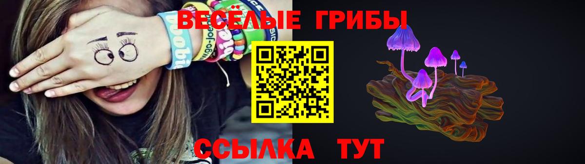 Псилоцибиновые грибы Psilocybe Оренбург